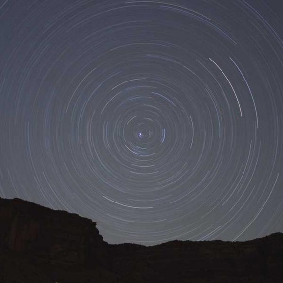 Meet your Posher, Tara - Picture 1 of 1